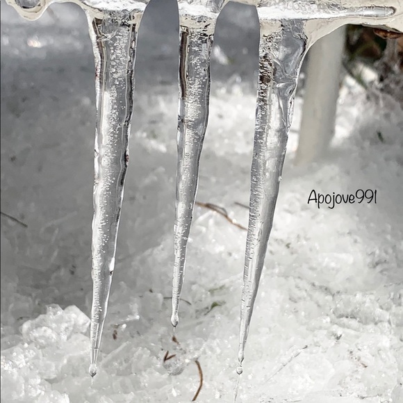 Meet your Posher, Isaiah! - Picture 9 of 10